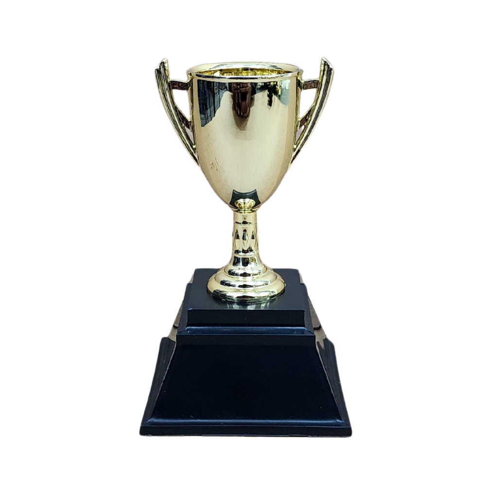 Trophies Under R50