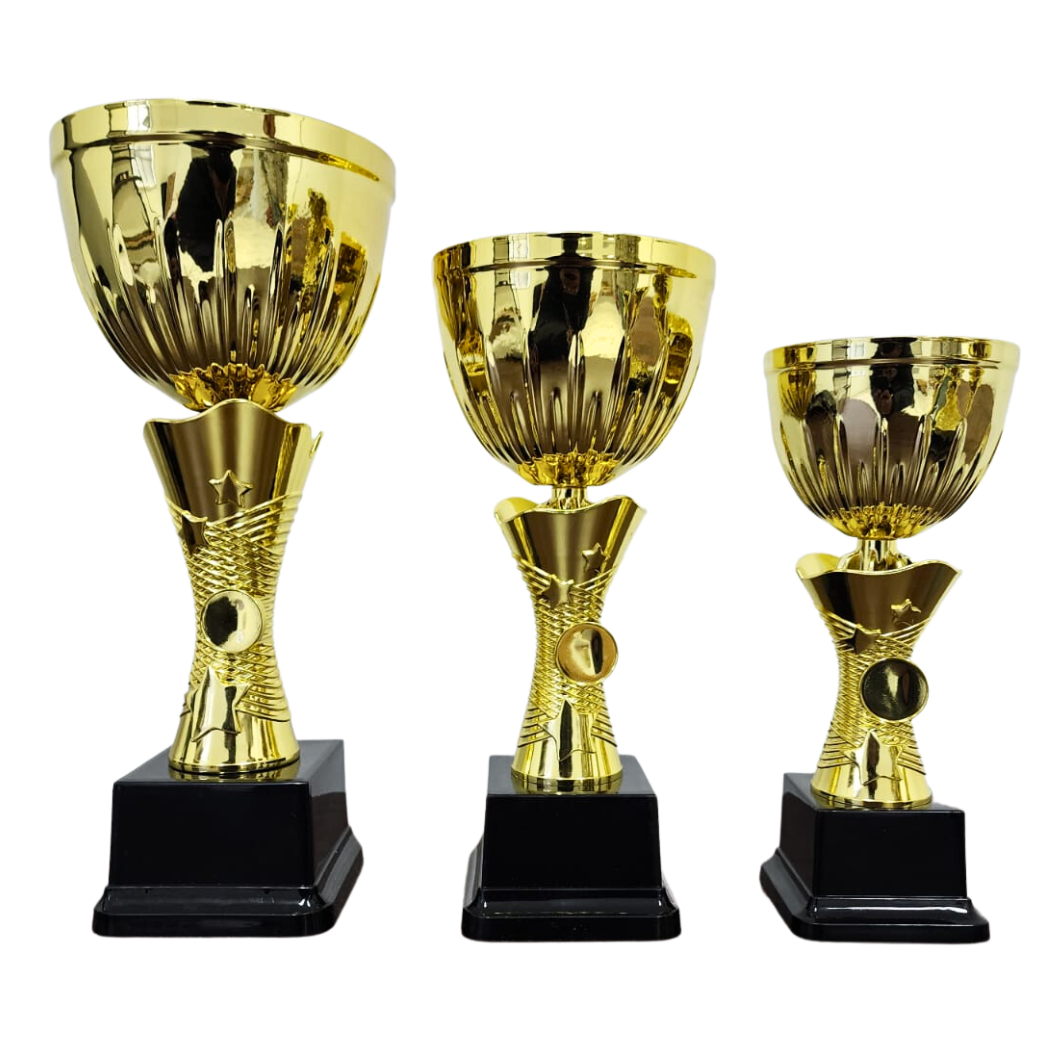 NC006 Star Cup (Gold / Silver)