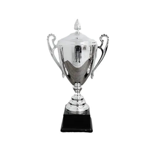 Silver Full Metal Trophy Cup - NC001