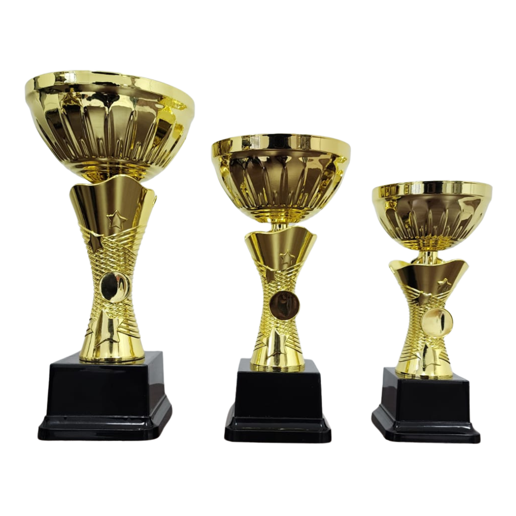 NC007 Star Cup (Gold / Silver)