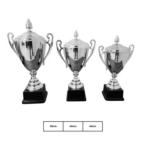 Silver Full Metal Trophy Cup - NC001