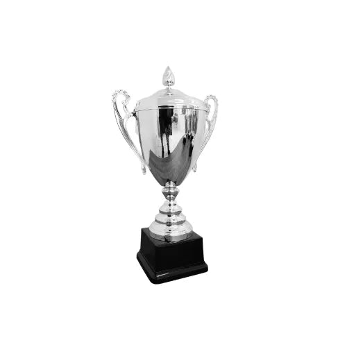 Silver Full Metal Trophy Cup - NC001