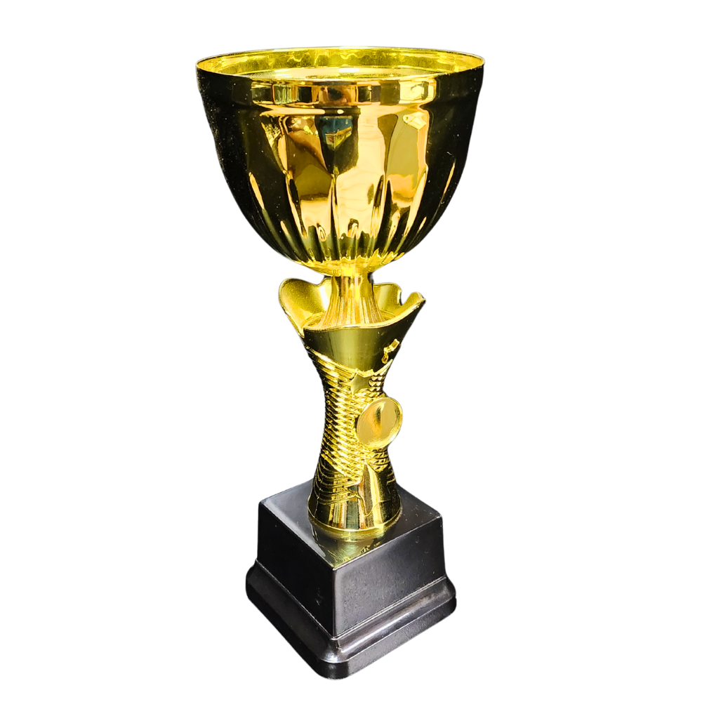 NC006 Star Cup (Gold / Silver)