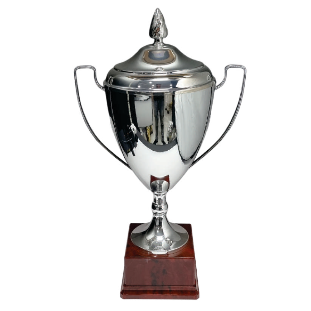 Metal Cup Trophies