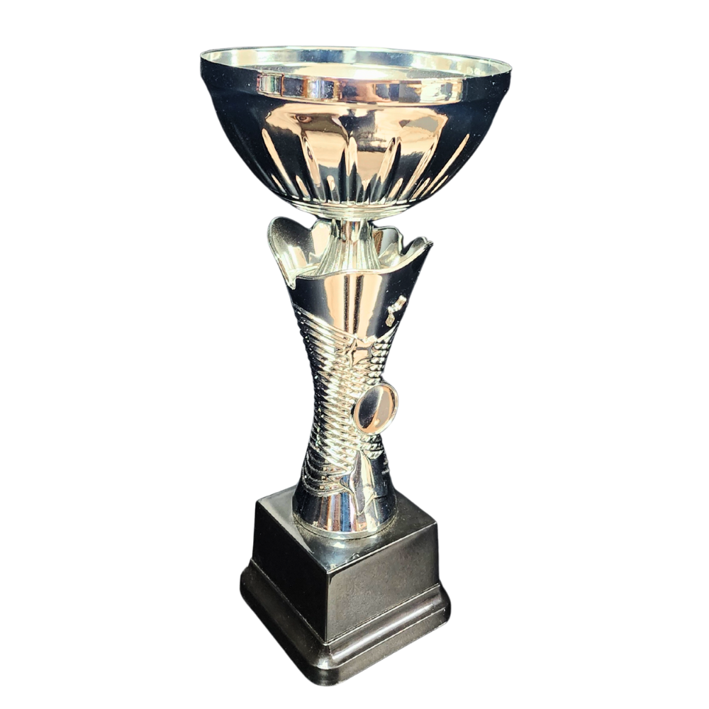 NC007 Star Cup (Gold / Silver)