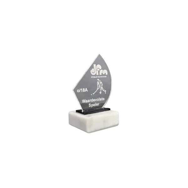 Mini Acrylic Award
