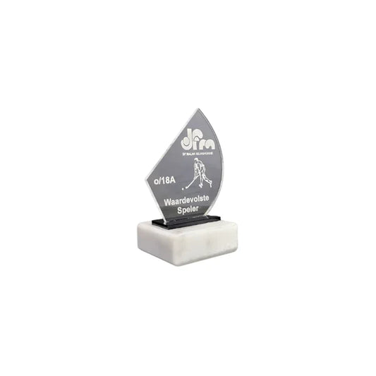Mini Acrylic Award