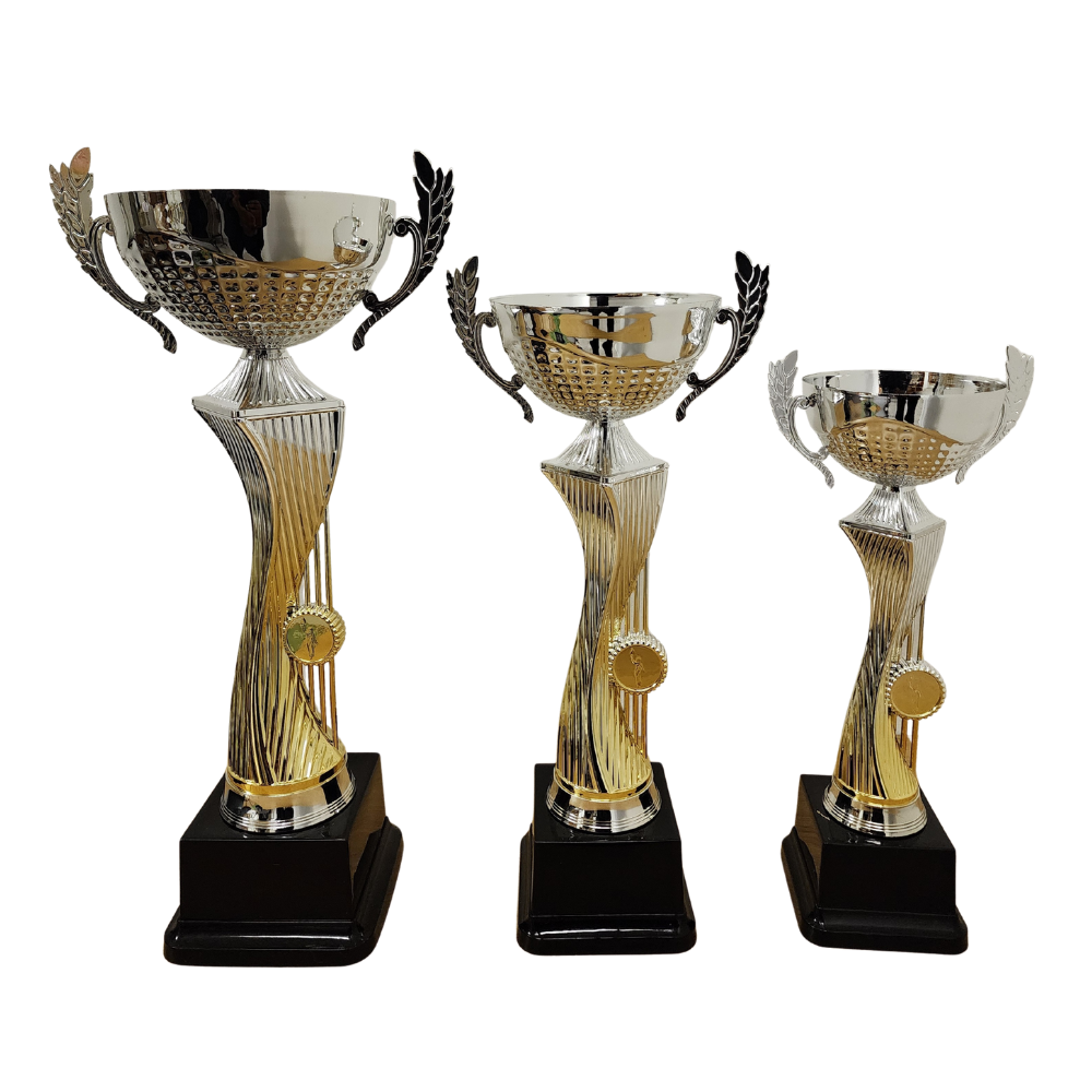 Silver / Gold Olympic Metal Cup - NC008