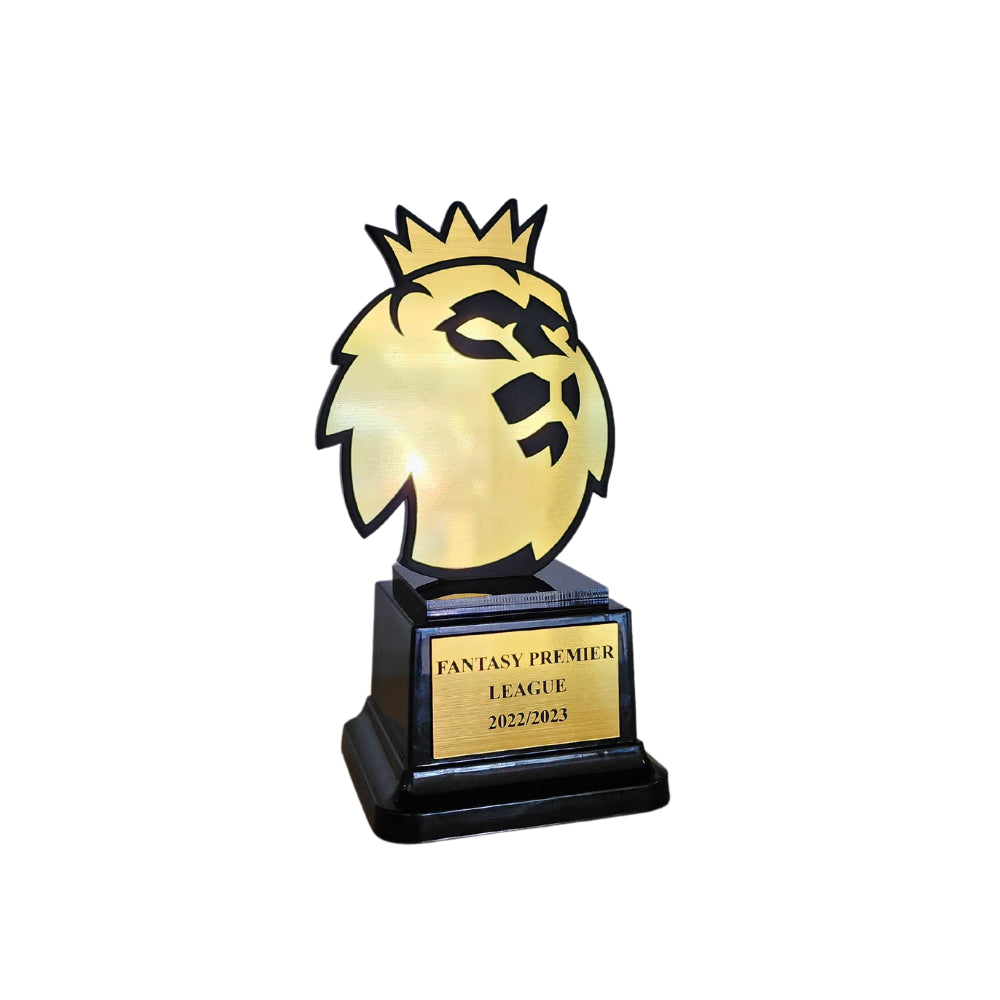Custom Laser Cut UV Printed Acrylic Award
