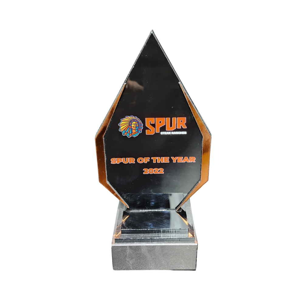 Diamond Strip Acrylic Award