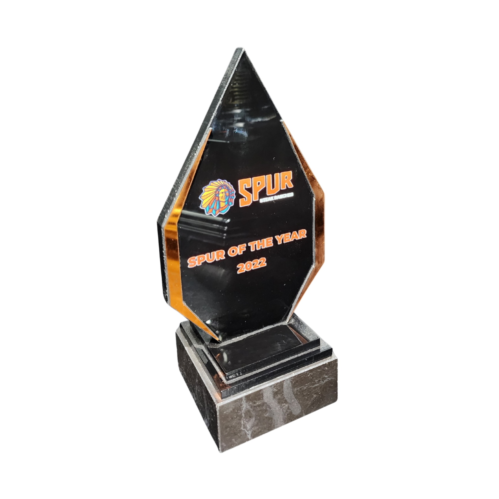 Diamond Strip Acrylic Award