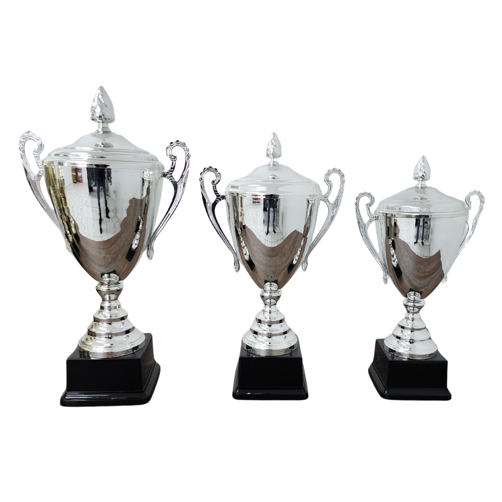 Silver Champion Metal Trophy Cup - NC001