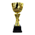 NC006 Star Cup (Gold / Silver)