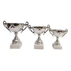 Silver Trophy Cup - CU0030