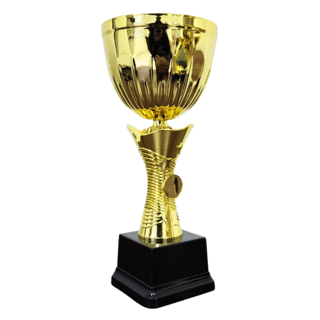 NC006 Star Cup (Gold / Silver)