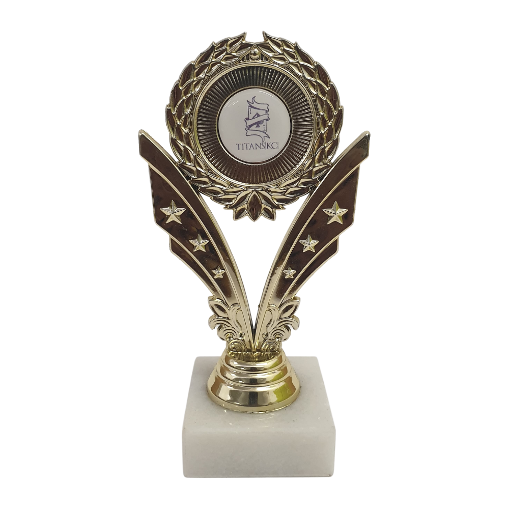 Star Wreath Holder - H417