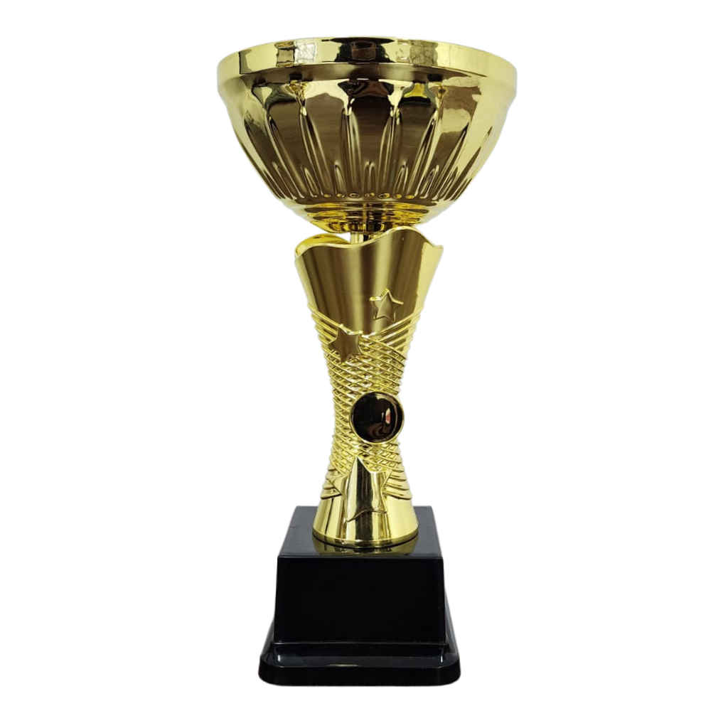 NC007 Star Cup (Gold / Silver)