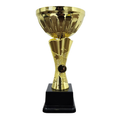 NC007 Star Cup (Gold / Silver)
