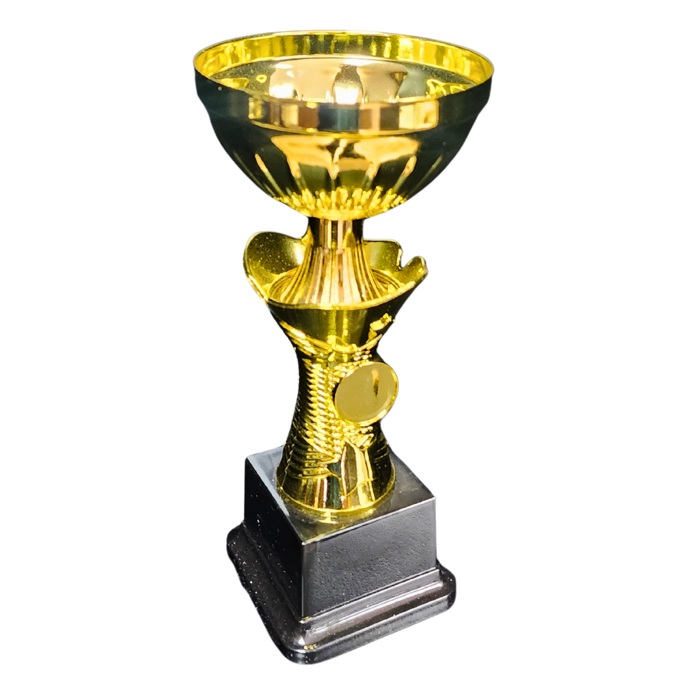 NC007 Star Cup (Gold / Silver)