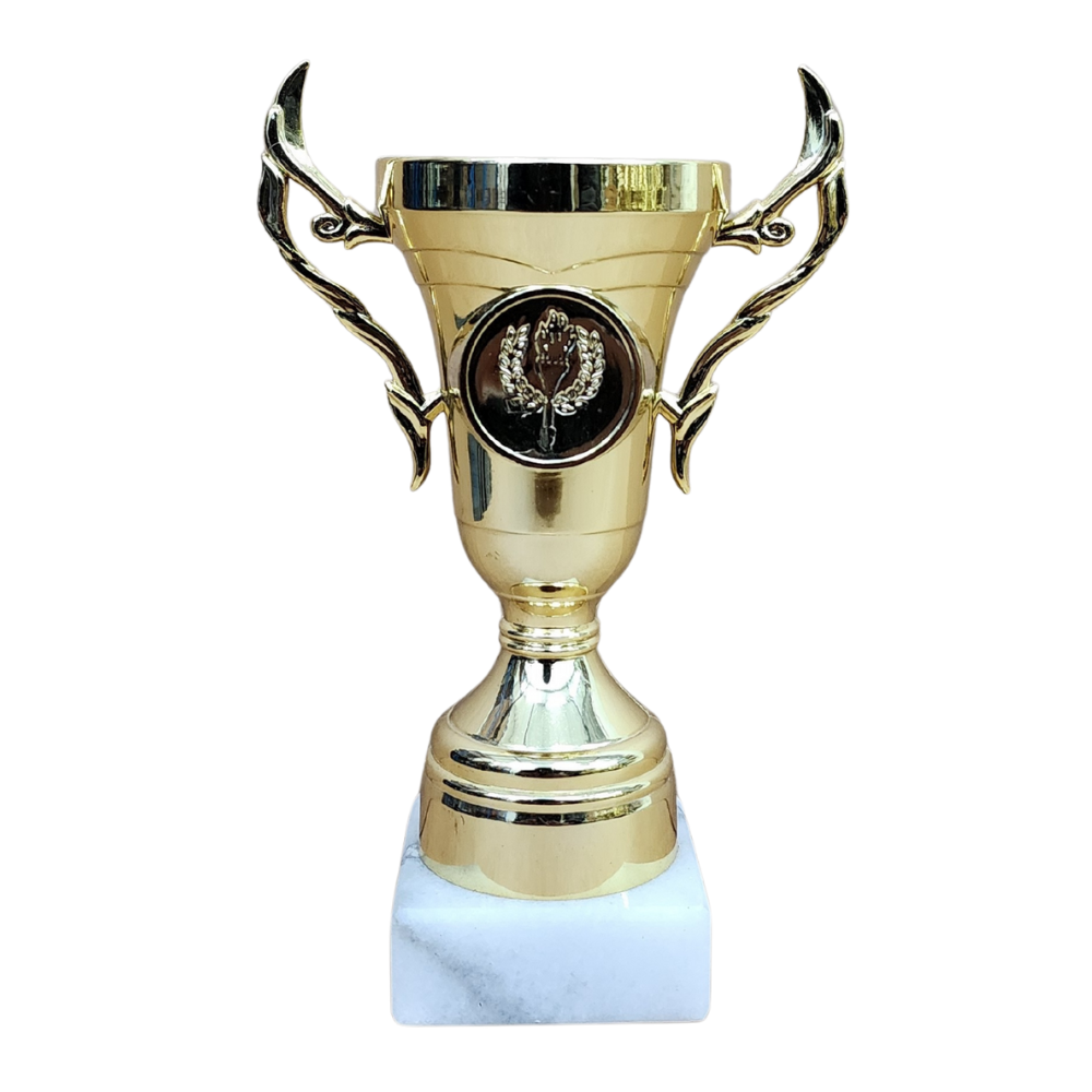 Flame Insert Trophy Cup - AS520