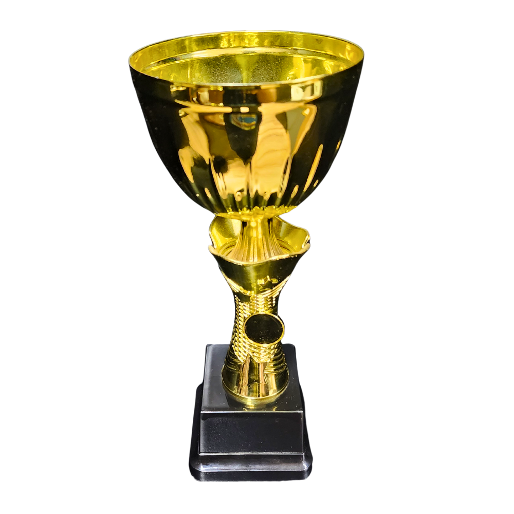 NC006 Star Cup (Gold / Silver)
