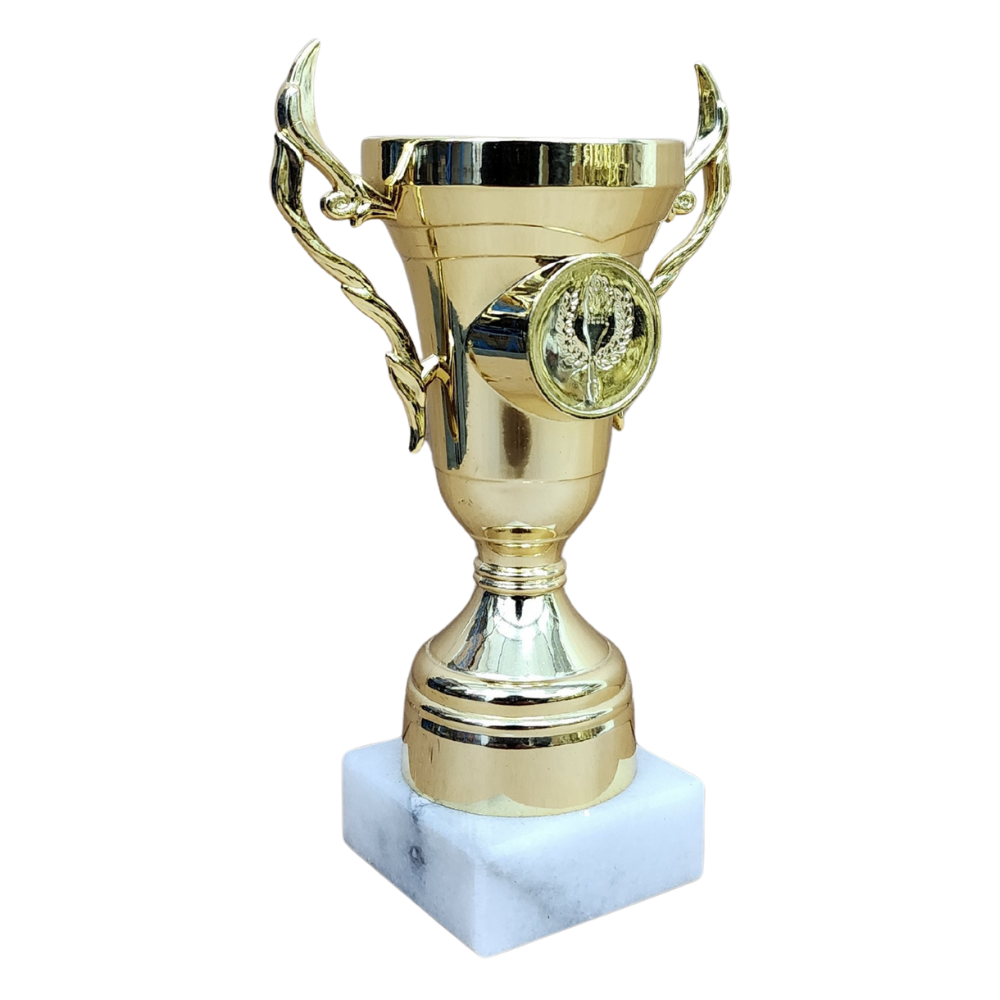 Flame Insert Trophy Cup - AS520